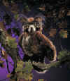 Gr Horned Owl