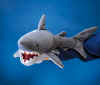 Great White Shark